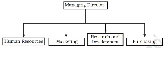 organizing function of management