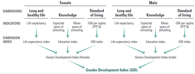 • Gender Development Index GDI