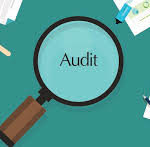 Audit and Auditors of banking company