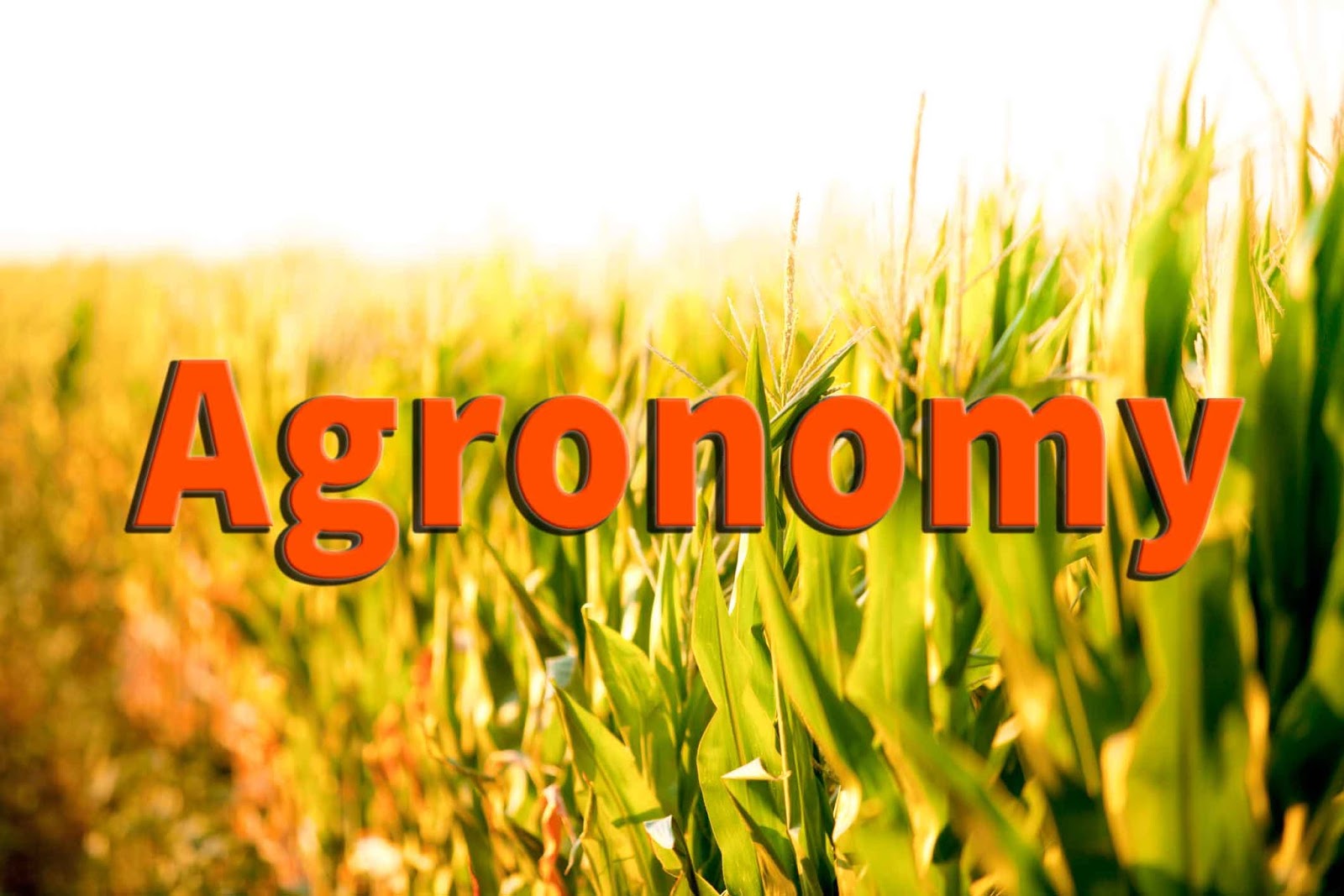 Agronomy Definition, Meaning, Scope of Agronomy Paper Tyari