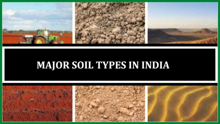 Major Soil types in india